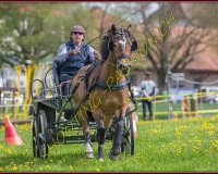 1POSIEUX 0584